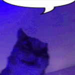 kot.gif