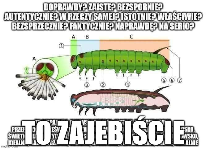 ta to zajebiście.jpg
