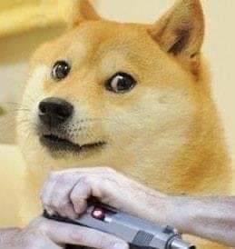 DOGE COCKING.jpg
