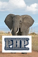 real php.jpg