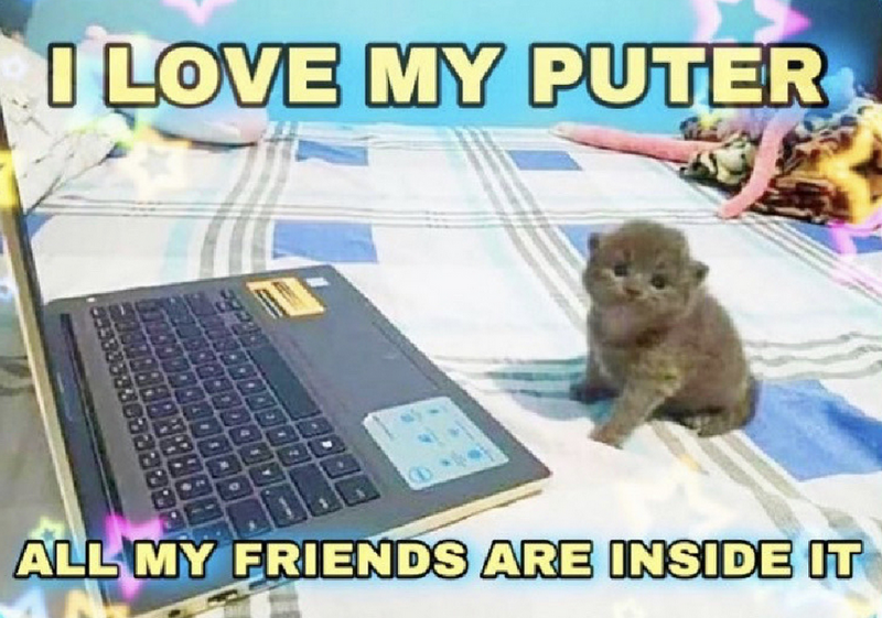 Plik:puter.png