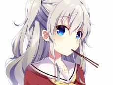 naoppp.png
