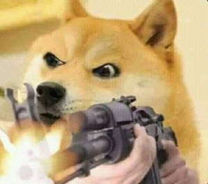 DOGE FIRE.jpg