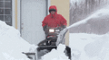 Please Freeze!.gif