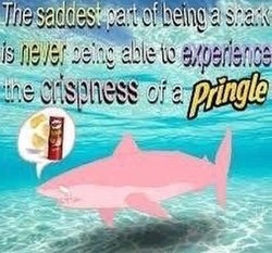 EUUR3390.JPEG.webp